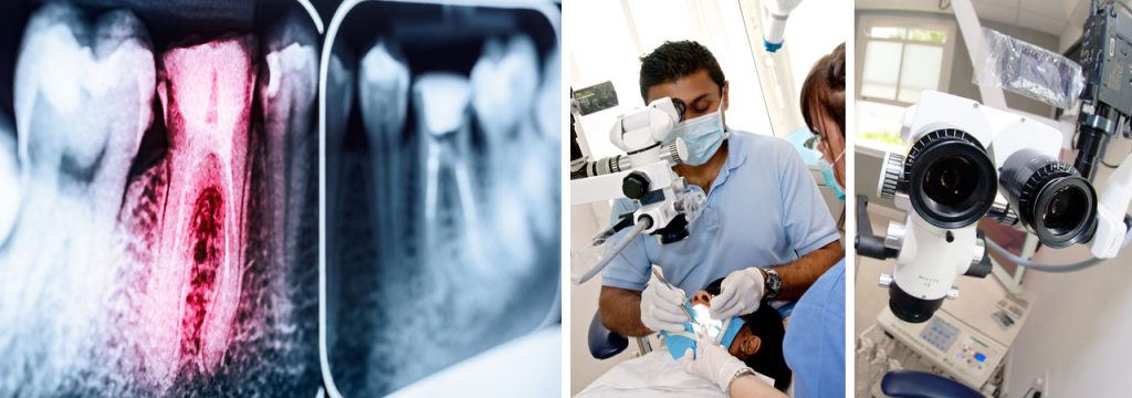 online-education-fw Online education from Endo61
